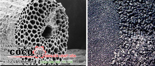 The predominance of micro-pores in coconut shell carbon gives it tight structure and provides good mechanical strength and hardness and also high resistance to resist attrition or wearing away by friction.